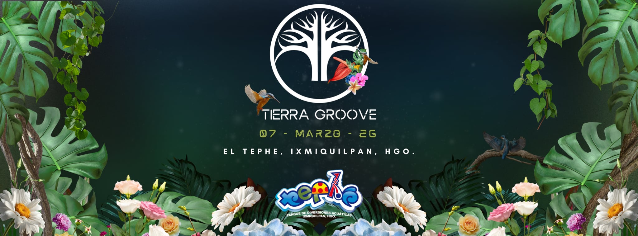 TIERRA GROOVE
