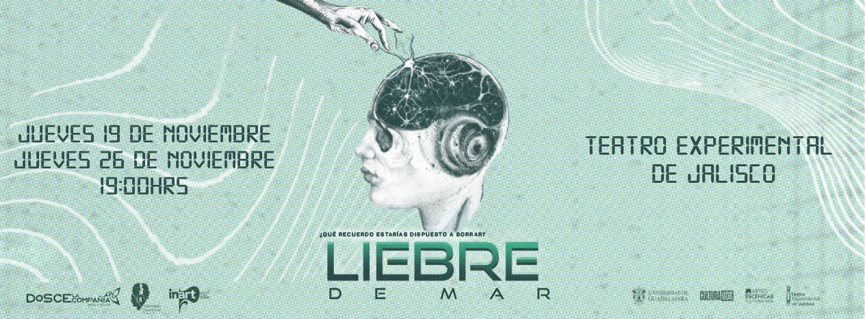 Liebre de mar
