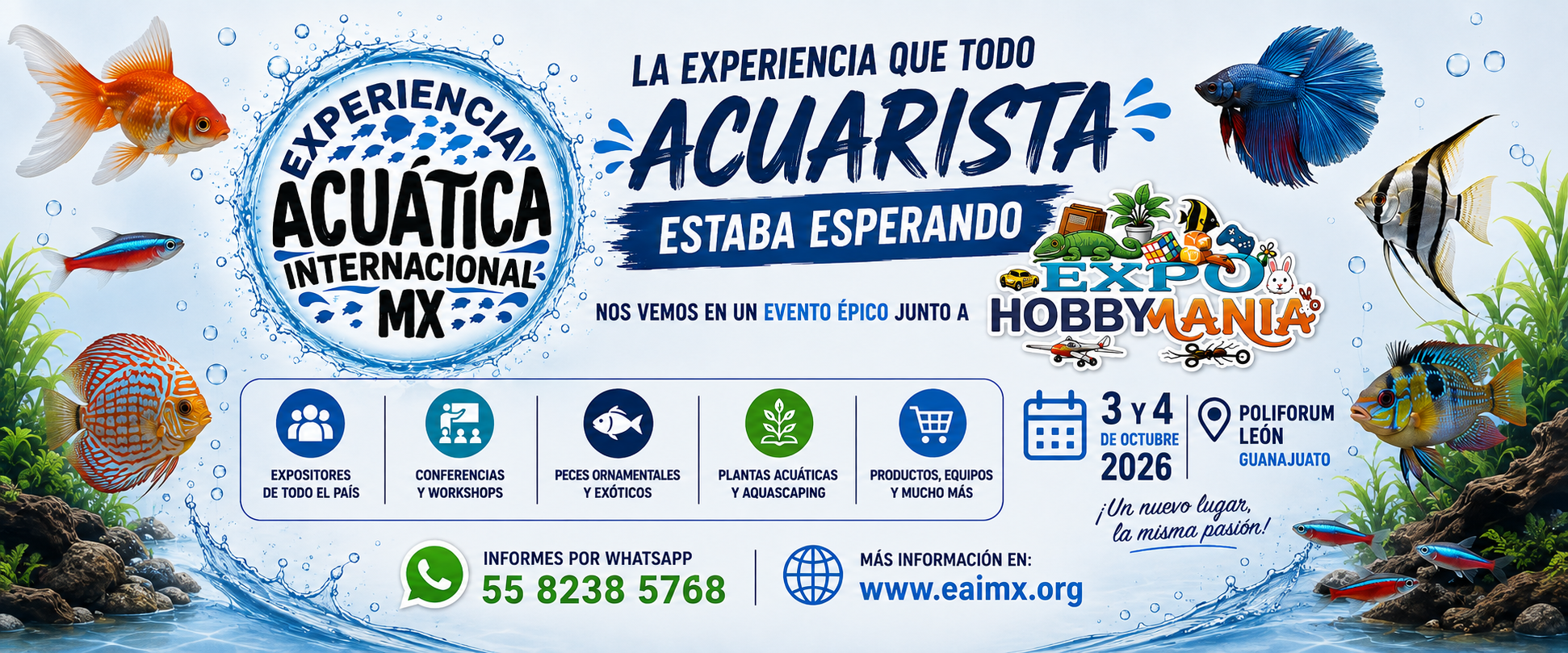 Experiencia Acuática Internacional León 2026