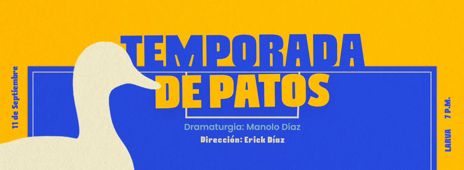 Flyer de Temporada de patos