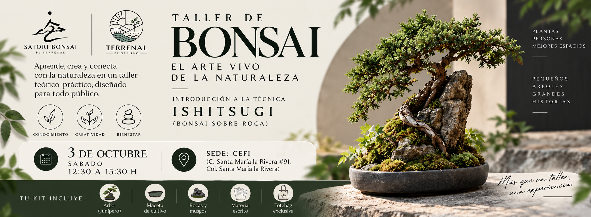 Taller Bonsai