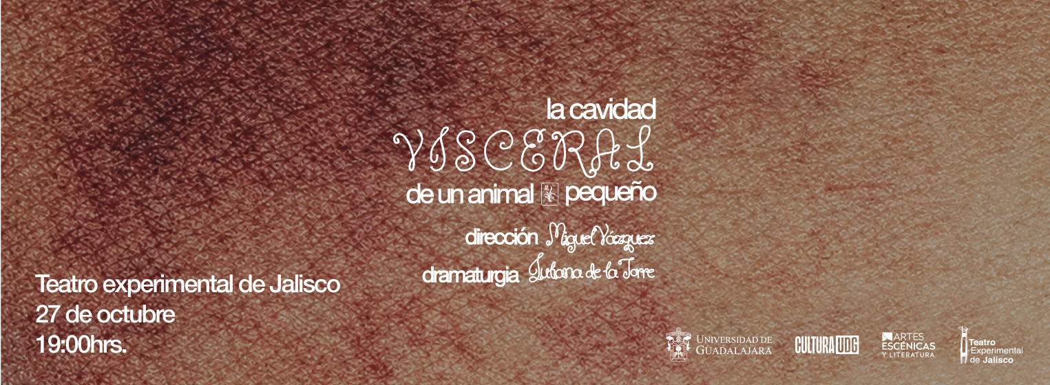 Flyer de La Cavidad Visceral de un Animal Pequeño